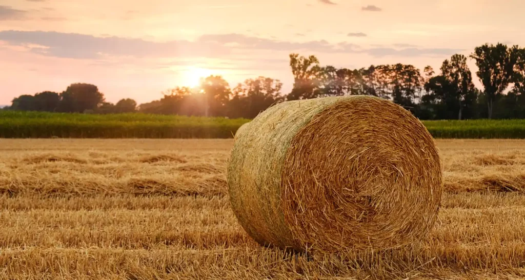 Terreno agricolo ereditato per successione